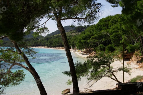 Preview: Bay With Pine Trees At Cabo De Formentor, Mallorca, Spain