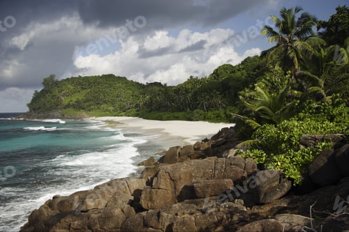Preview: Rocks And Palm Trees Along Shore, Police Bay, Mahe', Seychelles