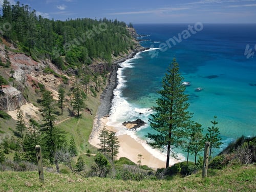 Preview: Scenic View Of Norfolk Pine Trees And Coastline, Norfolk Island, External Territory Of Australia