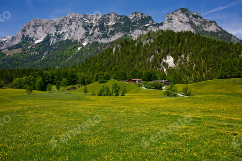 Preview: Alpine Meadow And Mountains, Reiter Alpe, Bavaria, Germany