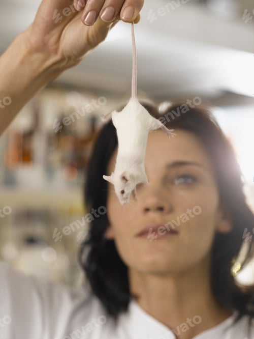 Preview: Female Scientist Holding Laboratory Mouse By Tail