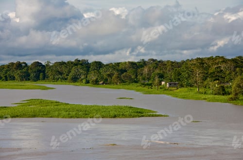 Preview: Riverside Of Amazon River At Uara, Brazil