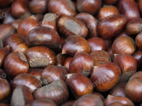 Preview: Close Up Of Sweet Chestnuts
