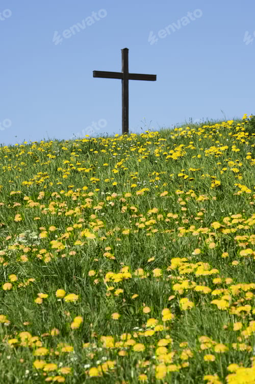 Preview: Meadow With Dandelion And Cross