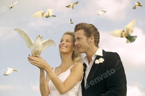 Preview: Bride And Groom Holding Dove