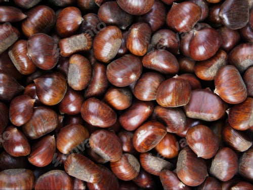 Preview: Close Up Of Sweet Chestnuts