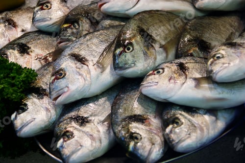 Preview: Still Life Fresh Fish, Fish Market, Jersey, Channel Islands, Uk