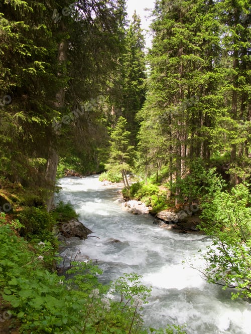 Preview: Mountain Stream, Davos, Grisons, Switzerland