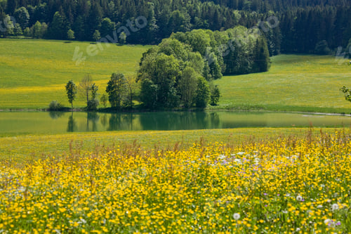Preview: View Over Froschsee Lake, Near Ruhpolding, Bavaria, Germany