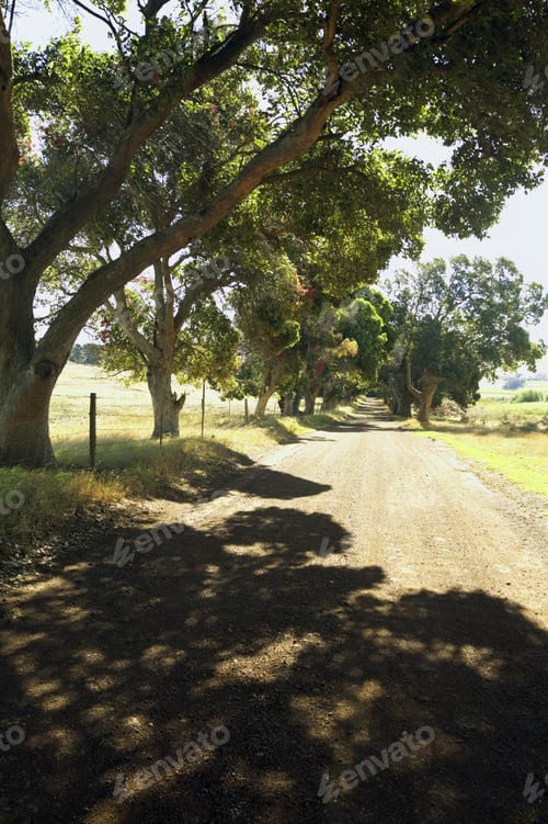 Preview: View Of A Road In The Countryside, Cape Town, South Africa