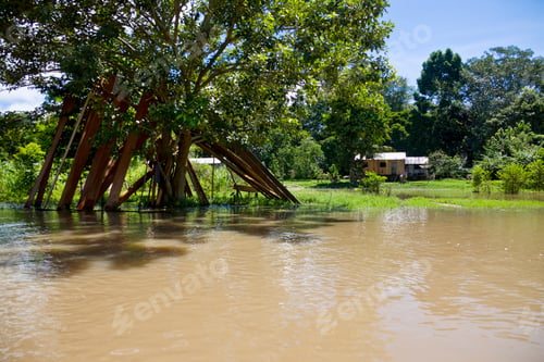 Preview: Little Channel Of Amazon River Near Panelas, Brazil
