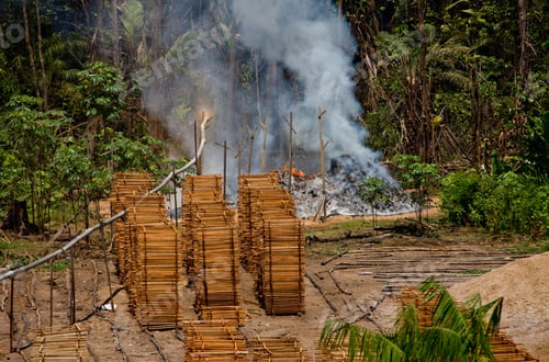 Preview: Lumber Industry At Breves Channels, Brazil