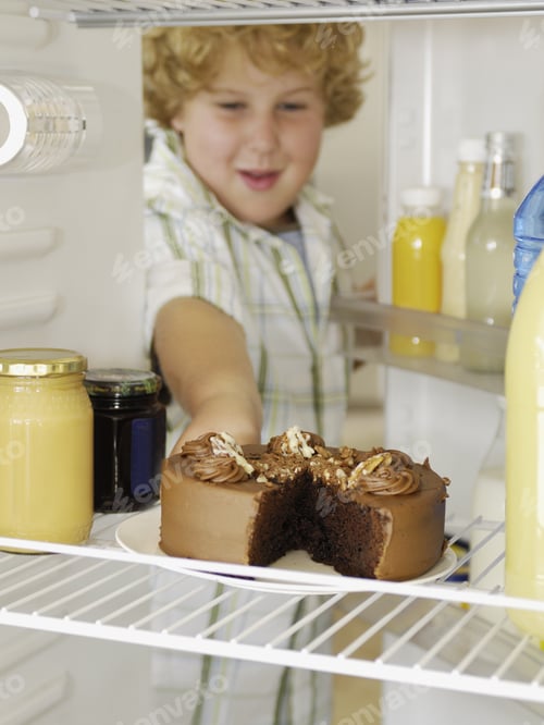 Preview: Boy Taking Cake Out Of Refrigerator