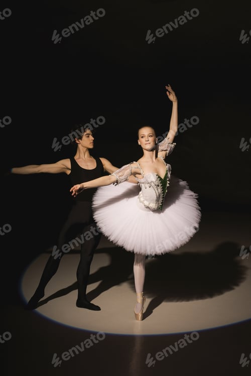 Preview: Male And Female Ballet Dancers Dancing On Stage In The Spotlight