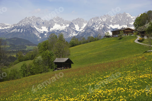Preview: Scenic View Of Meadow And Mountains, Kitzbuhel, Tyrol, Austria