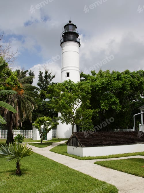 Preview: Lighthouse And Palm Trees, Key West, Florida, United States