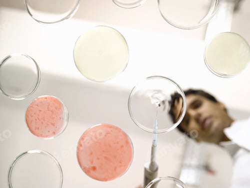 Preview: Low Angle View Of Scientist Testing Liquid In Petri Dish
