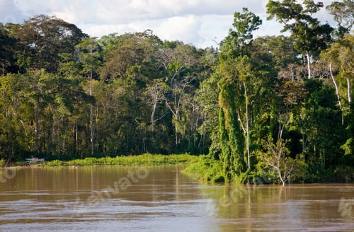Preview: Riverside Of Amazon River Near Panelas, Brazil