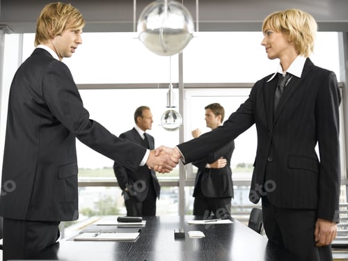 Preview: Businessman And Businesswoman Shaking Hands In Conference Room