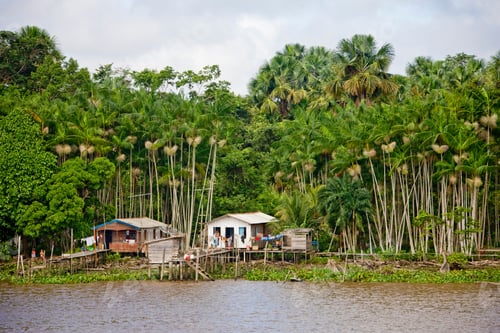 Preview: Hut And Landing Pier At Breves Channels, Brazil