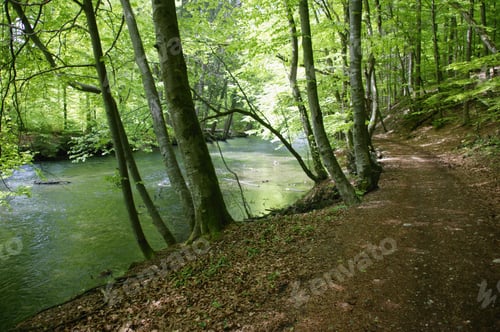 Preview: River Wuerm In Spring, Starnberg Area, Bavaria, Germany
