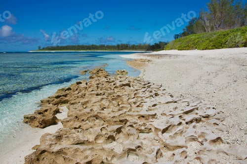 Preview: Corals At The Beach Of Desroches Island, Seychelles