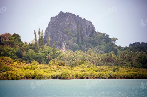 Preview: Monkey-Puzzle Trees And Palm Trees Along Coast Near Hienghene, New Caledonia, Overseas Territory Of
