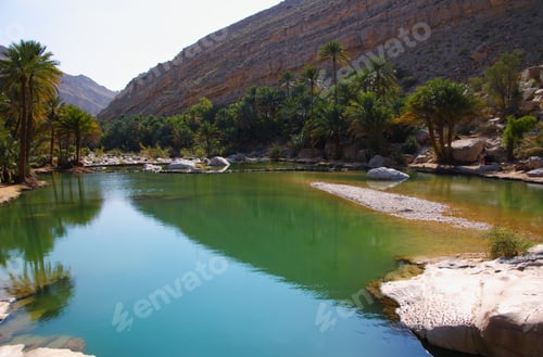 Preview: Oasis In Wadi Bani Khalid, Near Sur, Oman