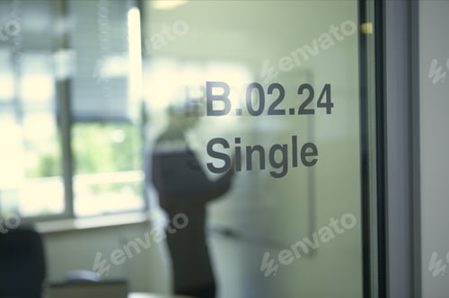 Preview: Blurred Businesswoman Seen Through Office Door