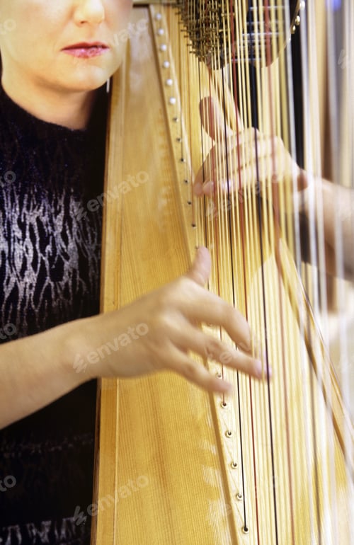 Preview: Woman Playing A Harp In Munich