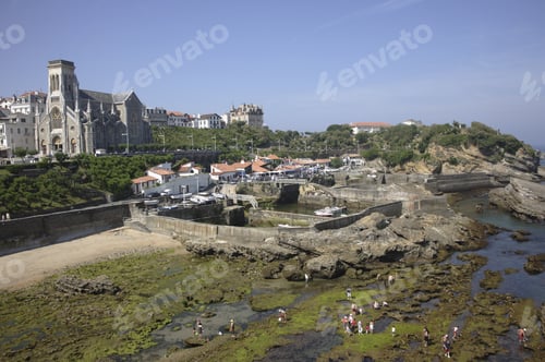 Preview: High Angle View Of Algae On Beach, Biarritz, France