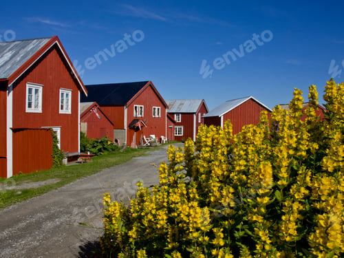 Preview: View Of Nes, Vega Archipelago, Sor-Helgeland, Helegland, Nordland, Norway