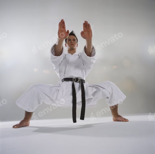 Preview: Close-Up Of Man In Karate Pose, Front View