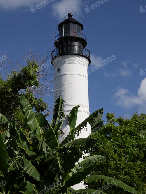 Preview: Lighthouse And Palm Trees At Key West, Florida, United States