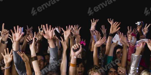 Preview: Fans Waving Hands In Air