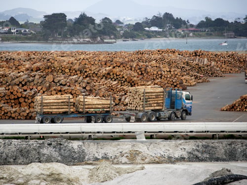Preview: Truck Carrying Stocked Wood, North Island, New Zealand