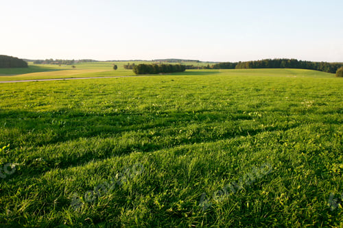 Preview: Scenic View Of Meadow And Countryside