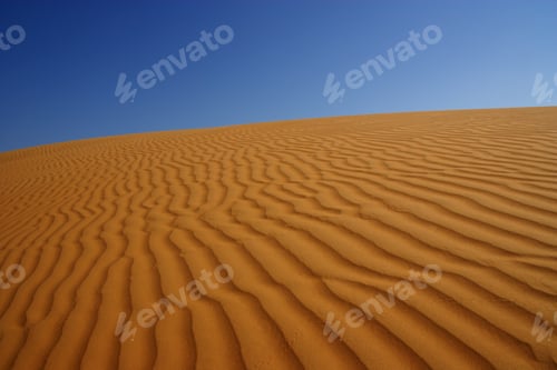 Preview: Patterns In Sand Dune, Wahiba Sands, Oman