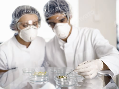 Preview: Scientists Examining Substance In Petri Dish