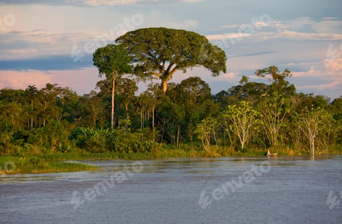 Preview: Riverside Of Amazon River Near Libertad, Peru