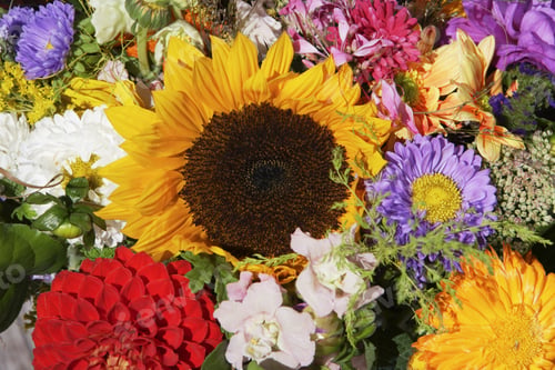 Preview: Close Up Of Bunch Of Flowers