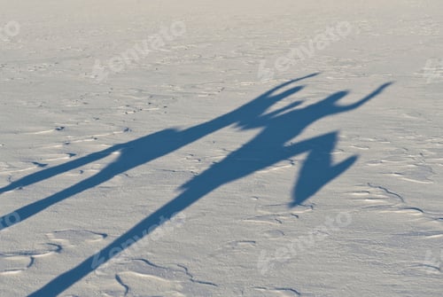 Preview: Shadows Of Two People Both Standing On One Leg