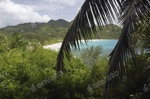 Preview: View Over Palm Trees To Anse Intendance, Mahe', Seychelles