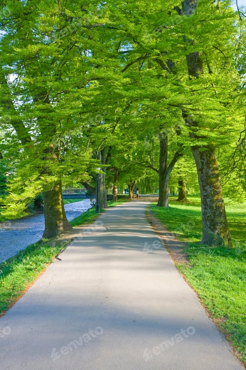 Preview: Lichtentaler Allee, Baden-Baden, Baden-Wuerttemberg, Germany