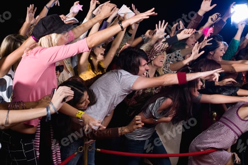 Preview: Fans Screaming And Cheering Behind Velvet Rope