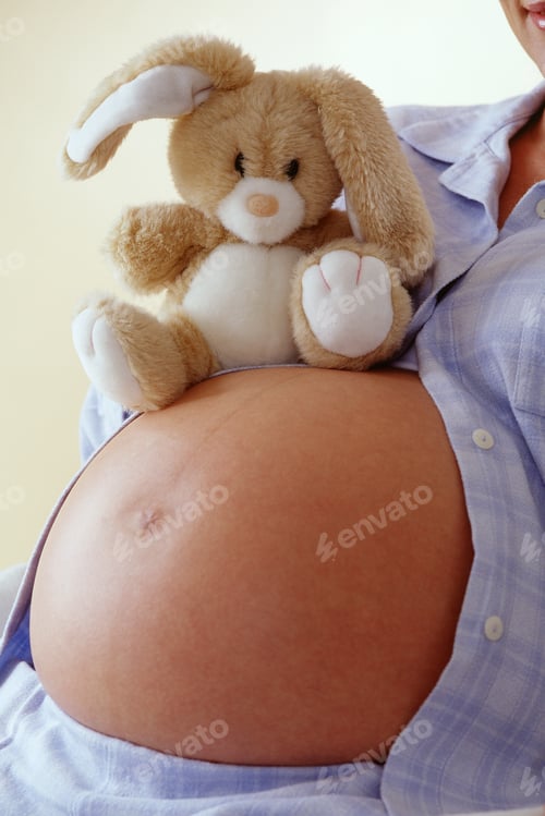 Preview: Pregnant Woman With Stuffed Rabbit