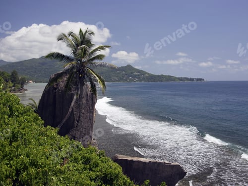 Preview: Rock Formations And Palm Tree, Anse Royale, Mahe', Seychelles