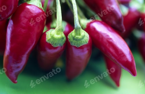 Preview: Still Life Of A Bunch Of Chilies