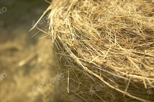 Preview: Detail View Of A Bale Of Straw