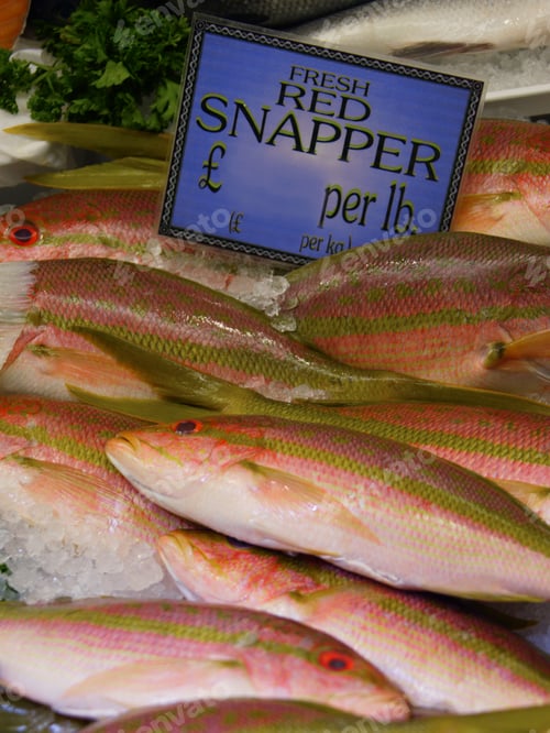 Preview: Still Life Fresh Red Snapper, Fish Market Of St. Helier, Jersey, Channel Islands, Uk